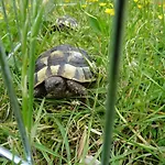 Bei Schuetts - Spiel Und Spass Im Garten Rund Um Eine Moderne Фермерский дом *