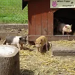 Bei Schuetts - Spiel Und Spass Im Garten Rund Um Eine Moderne Фермерский дом