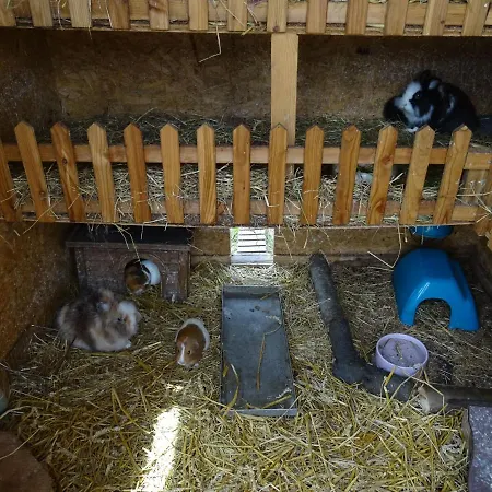 Bei Schuetts - Spiel Und Spass Im Garten Rund Um Eine Moderne Bauernhof Janneby