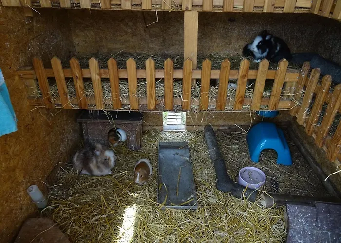 Bei Schuetts - Spiel Und Spass Im Garten Rund Um Eine Moderne Séjour à la ferme Janneby