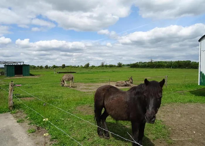Bei Schuetts - Spiel Und Spass Im Garten Rund Um Eine Moderne