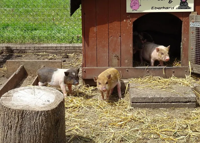 Bei Schuetts - Spiel Und Spass Im Garten Rund Um Eine Moderne Séjour à la ferme